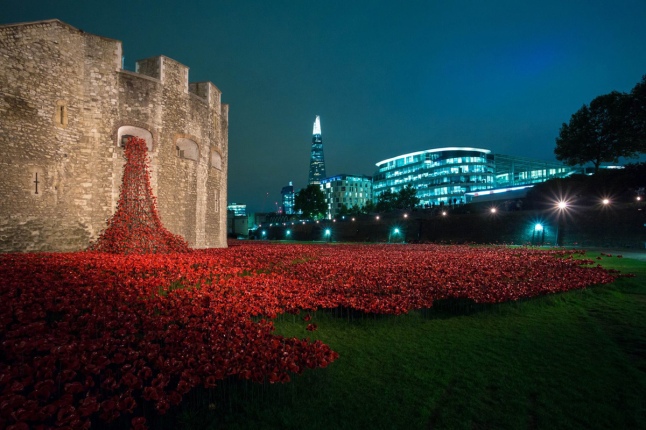 tower-of-london-poppies-at-night